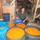 ���� ��, �����, 44 ���� - ��������� 20 ������ 2023 � ������ ���� ����������