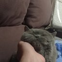 ���� Pit, ������ - ��������� 2 ������� 2022 � ������ ���� ����������