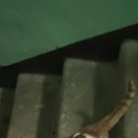 ���� �����, ������, 51 ��� - ��������� 6 ������� 2022