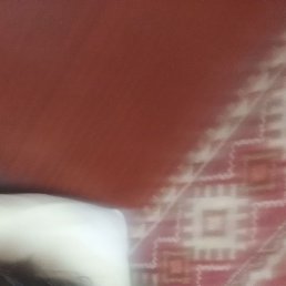 ������, �����, 63 ����