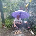 ���� ���������, ������, 51 ��� - ��������� 30 ��� 2022