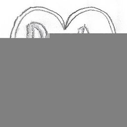 Karl, ���������, 35 ���