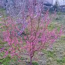 ���� Anatolij, �����, 74 ���� - ��������� 18 ������� 2023 � ������ ���� ����������