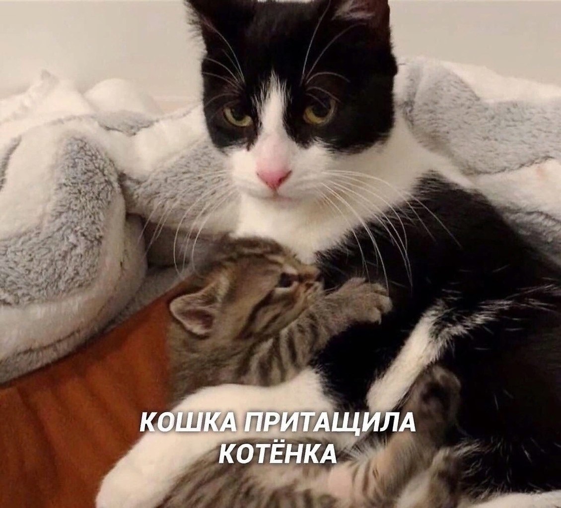    - 2