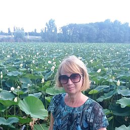 �����, ������, 57 ���