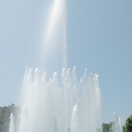 ���� �������� ��������, �����������, 48 ��� - ��������� 29 ���� 2022