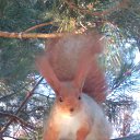 11.2022 �� ������� �������