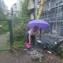 ���� ���������, ������, 51 ��� - ��������� 30 ��� 2022