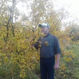 ������, ������, 65 ���