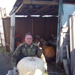 ���� ����, ������, 43 ���� - ��������� 9 ������� 2022