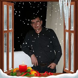 ���� ���, ����������, 40 ��� - ��������� 15 ������� 2023