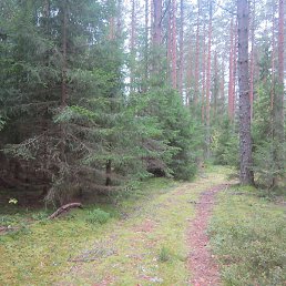 �������, ���������