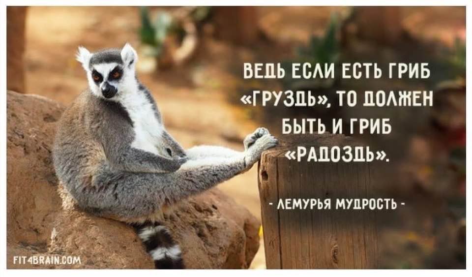   - 16  2022  08:07
