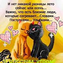 ���� ������, ������, 60 ��� - ��������� 8 ������ 2022 � ������ ���� ����������