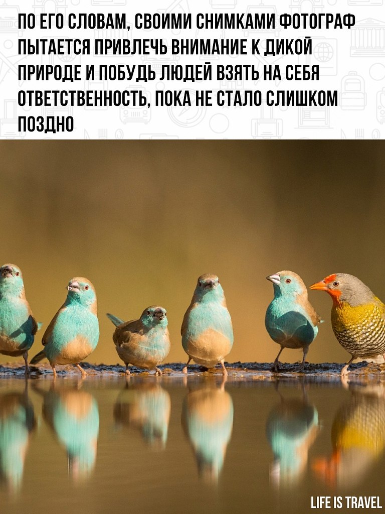 �������� �� ����� ���������� - 3