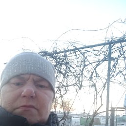 ���������, �����, 64 ����