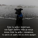 ���� �����, ������, 67 ��� - ��������� 12 ������� 2022 � ������ ������ ��������