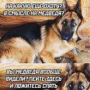 ���� ������, �������, 44 ���� - ��������� 12 ������� 2022 � ������ ���� ����������