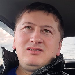 ������, ��������, 37 ���