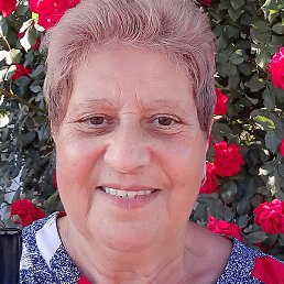 �������, ���������, 68 ���