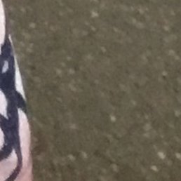 �����������, ������, 38 ���