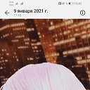���� ��������, �����-���������, 46 ��� - ��������� 7 ������� 2023 � ������ ���� ����������