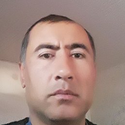 �, ���������, 41 ���