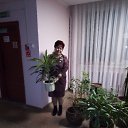 ���� ������, ��������� - ��������� 24 ������� 2022 � ������ ���� ����������