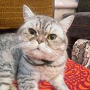 ���� ���������, �����������, 59 ��� - ��������� 19 ������� 2022