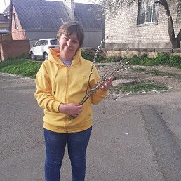 ����, ����������, 39 ���