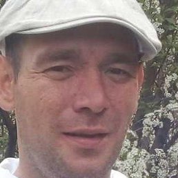 �������, ������, 37 ���