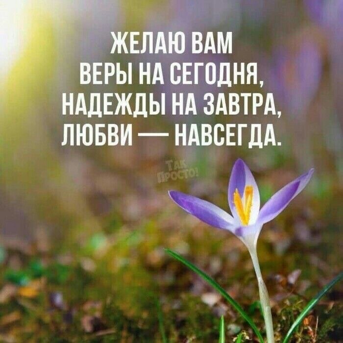   - 17  2023  10:24