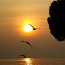 ���� �., ��������� - ��������� 10 ������� 2022 � ������ ���� ����������