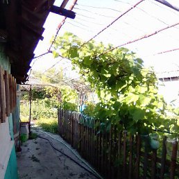 ���� ������, ��������, 51 ��� - ��������� 29 ������� 2022