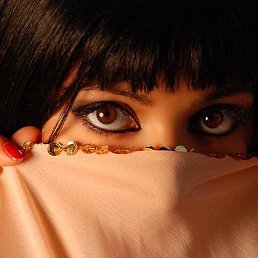 ����, ����, 61 ���