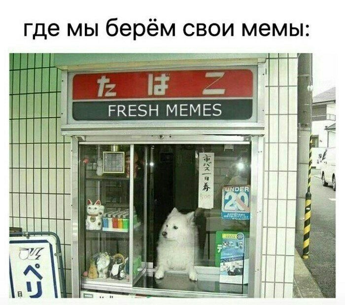    - 22  2022  20:39