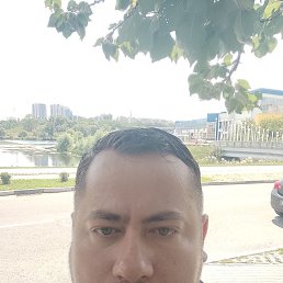 ����, ��������, 37 ���