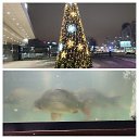 ���� ��������, ������, 32 ���� - ��������� 2 ������� 2022 � ������ ���� ����������