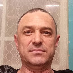 ������, �����������, 48 ���