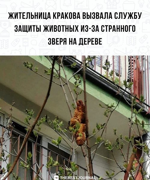 BEST | , ,  - 26  2022  21:31