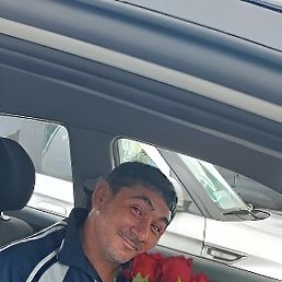 ��������, �������, 40 ���