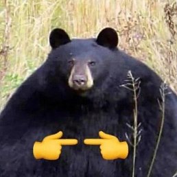 ������, ������, 25 ���