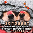 ���� Julia, ����-���, 46 ��� - ��������� 30 ������ 2022 � ������ �.�����.�