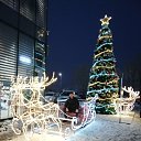 ���� �����, ������, 41 ��� - ��������� 23 ������ 2023 � ������ ���� ����������