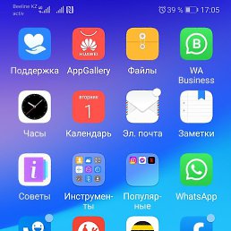 Mady, �������, 51 ���