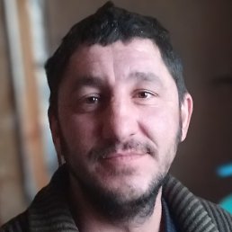 ��������, ������, 41 ���