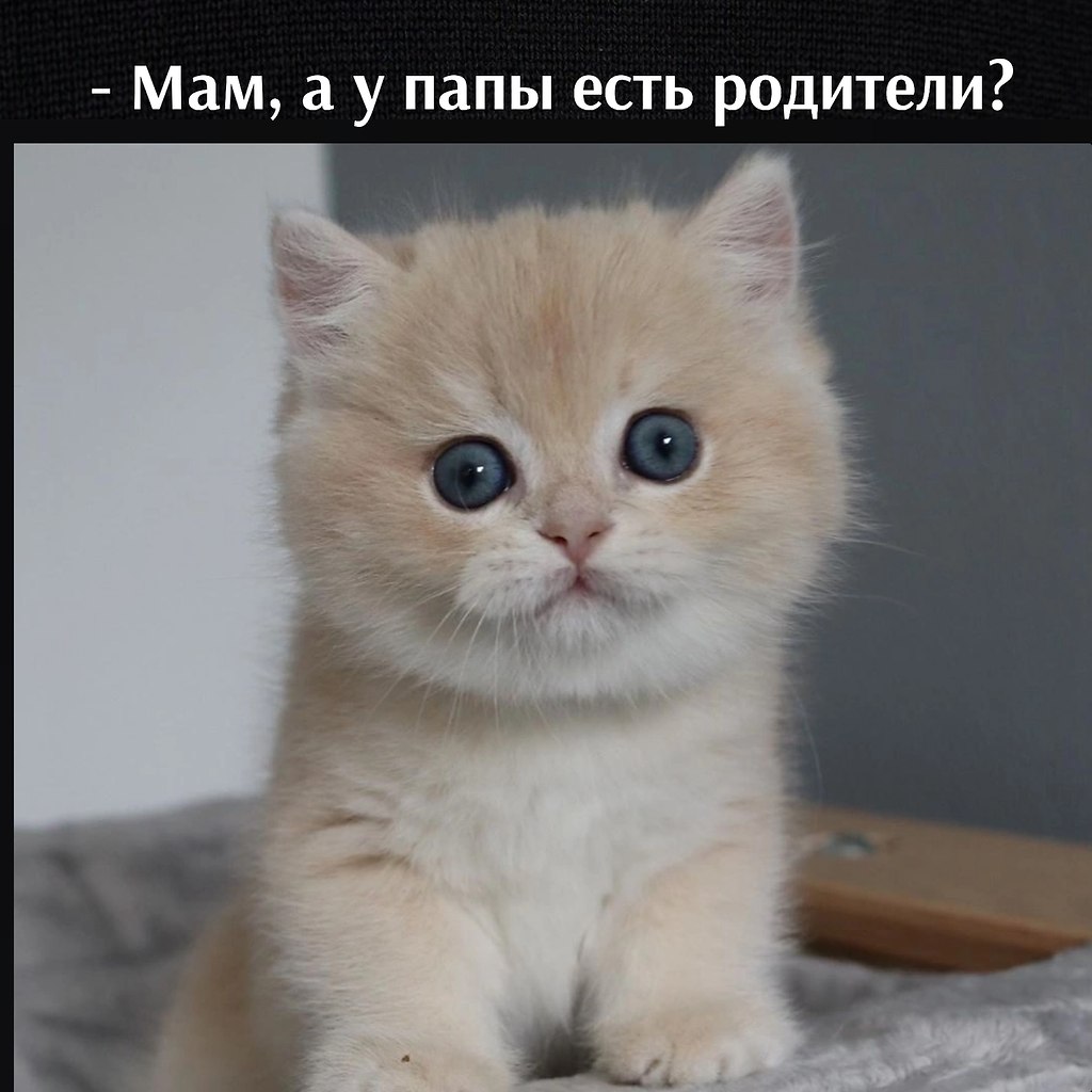      - 18  2022  15:27
