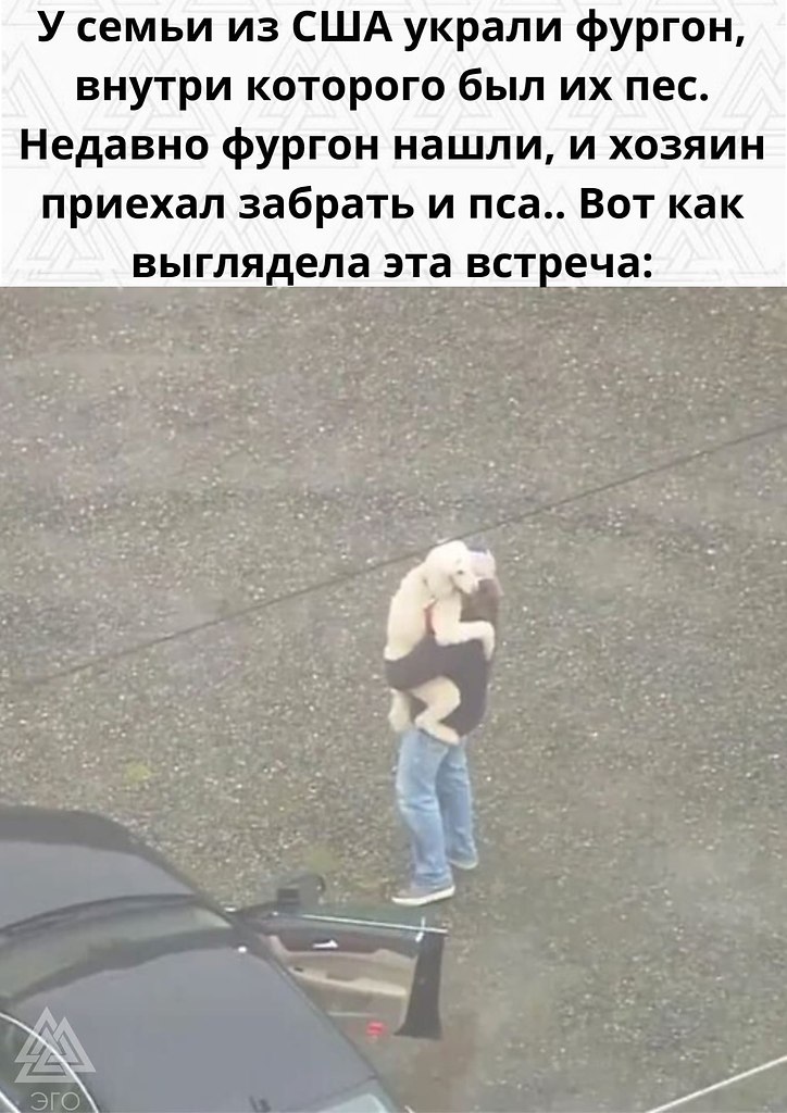   : 3  ,     - 3