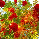 ���� �����, ���������� - ��������� 3 �������� 2022 � ������ ������ ��������