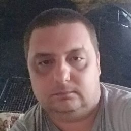 �������, ����, 43 ����